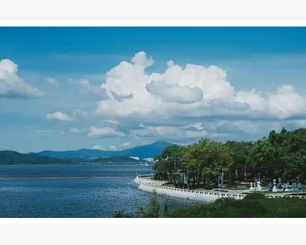 肠息肉与脾胃的关系：中医视角探秘