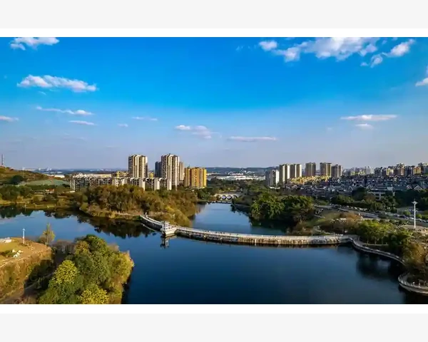 喝什么豆浆可以清肺？品质健康的豆浆清肺功效详解！